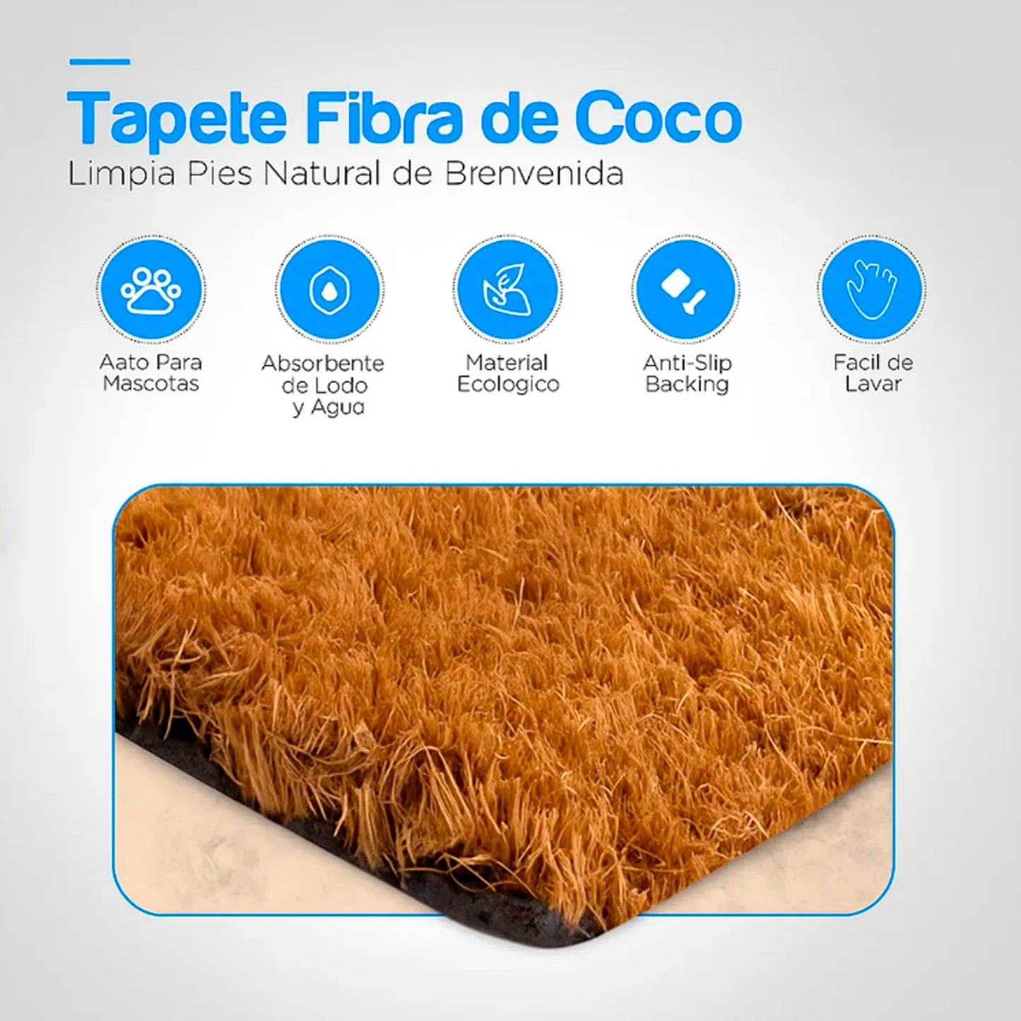 Hola poh cocos secos 2