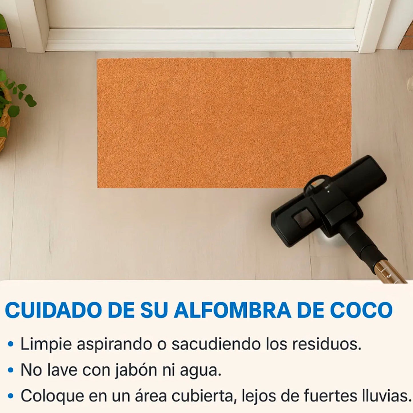 Hola poh cocos secos 2